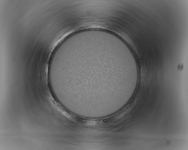 X0000112950790200910051218