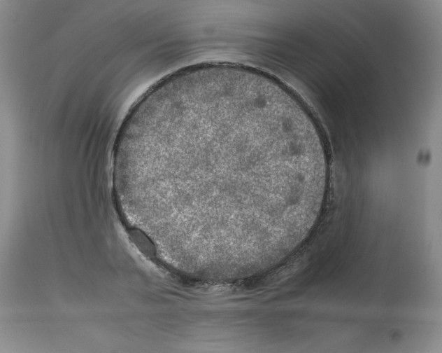 X0000112950791200910051218