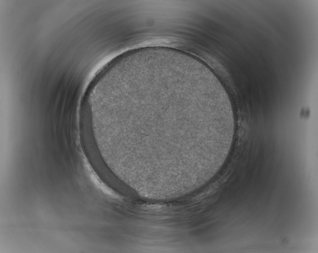 X0000112950792200910051217