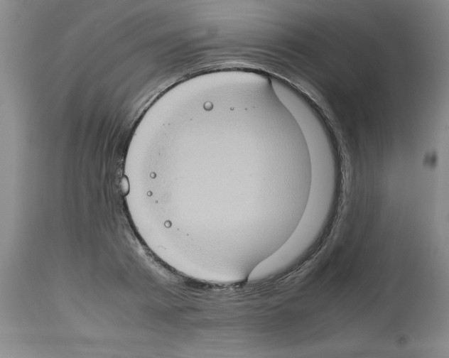 X0000112950793200910051217