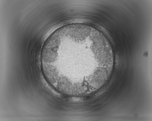 X0000112950794200910051217