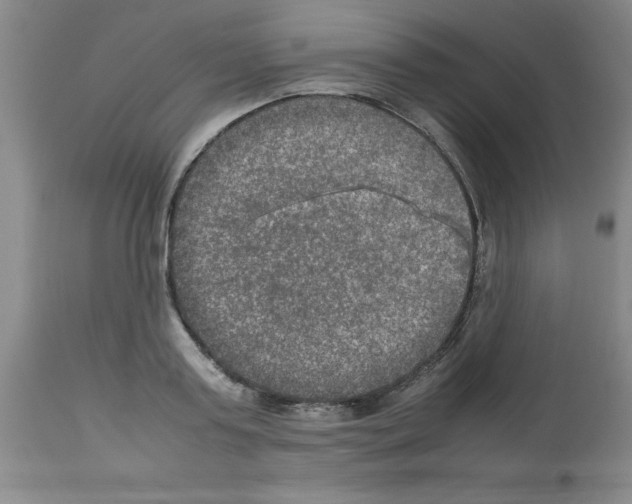 X0000112950795200910051217