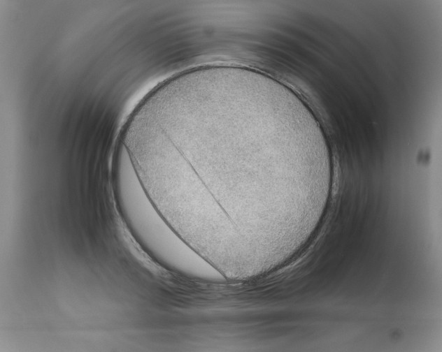 X0000112950796200910051217