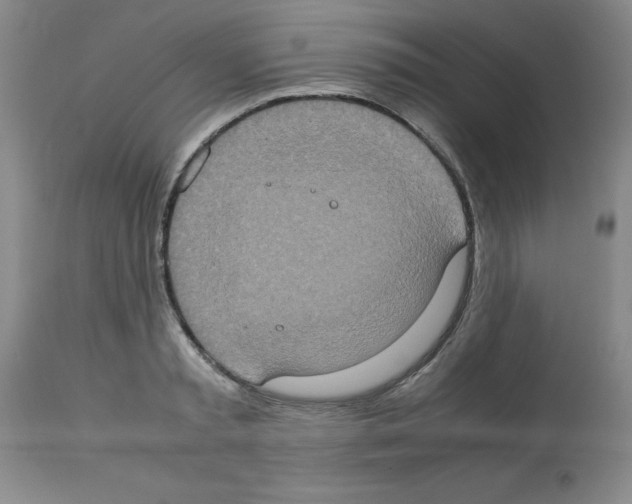 X0000112950797200910051217