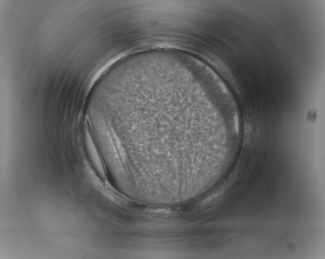 X0000112950798200910051217