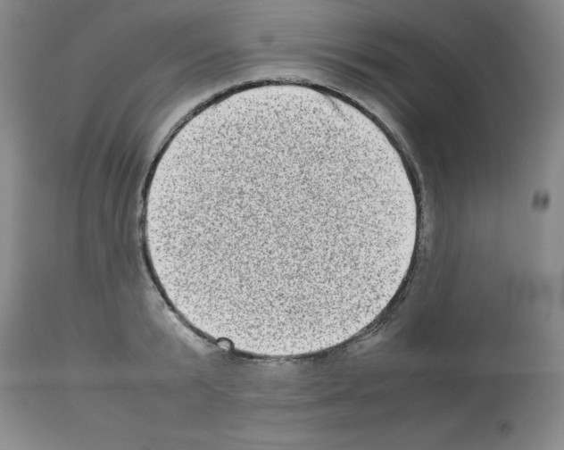 X0000112950799200910051217