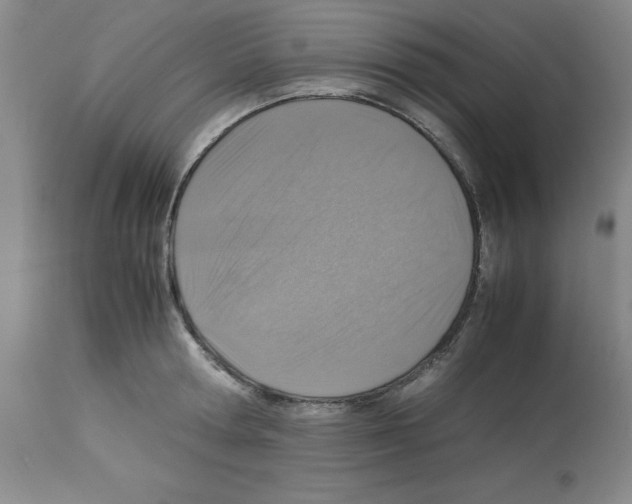X0000112950802200910051217