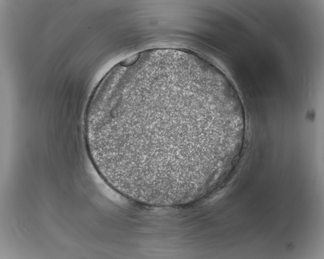 X0000112950803200910051217