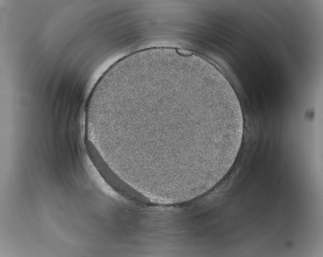X0000112950804200910051217