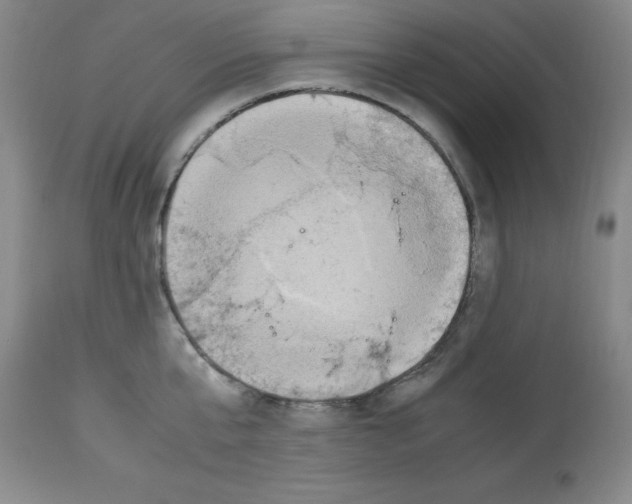 X0000112950807200910051217
