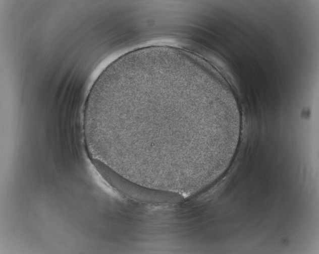 X0000112950808200910051217