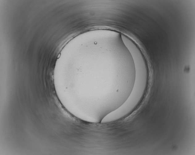 X0000112950809200910051217