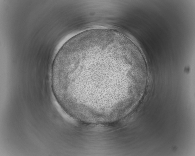 X0000112950811200910051217