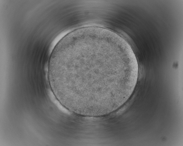 X0000112950812200910051217