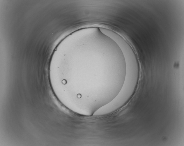 X0000112950813200910051217
