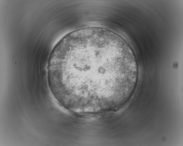 X0000112950814200910051217