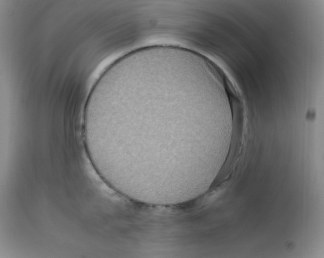 X0000112950815200910051217