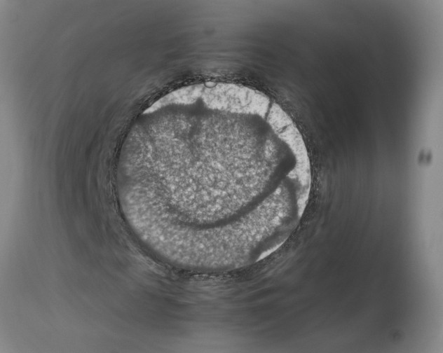 X0000112950817200910051216