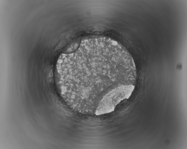 X0000112950818200910051216