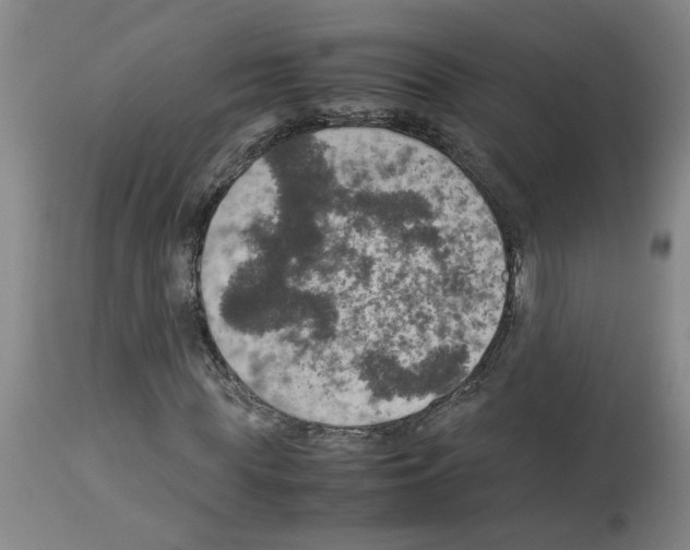 X0000112950819200910051217