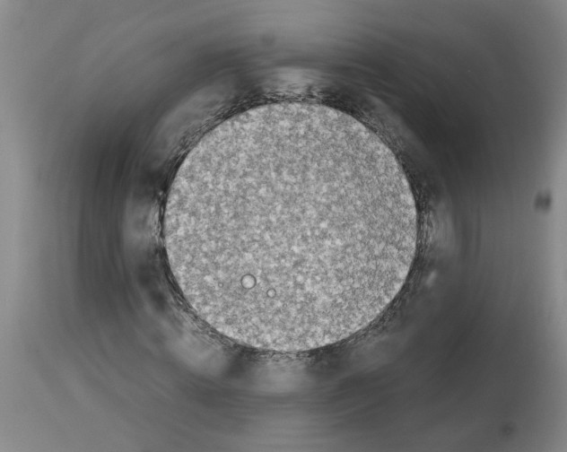 X0000112950820200910051217