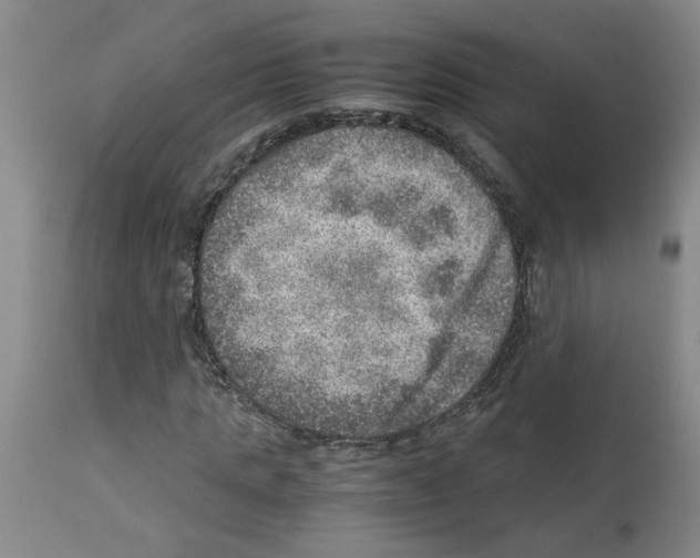X0000112950821200910051217