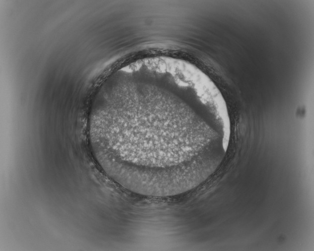 X0000112950822200910051217