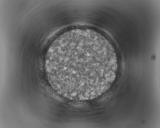 X0000112950823200910051217