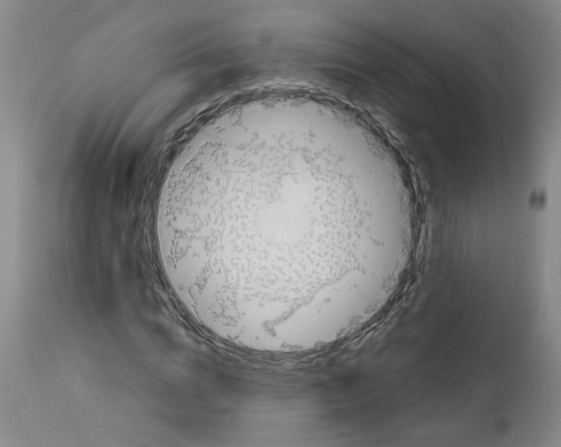 X0000112950824200910051217