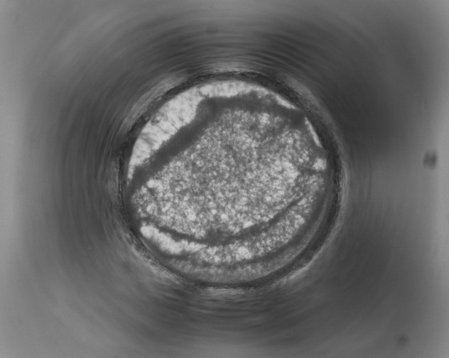 X0000112950825200910051217