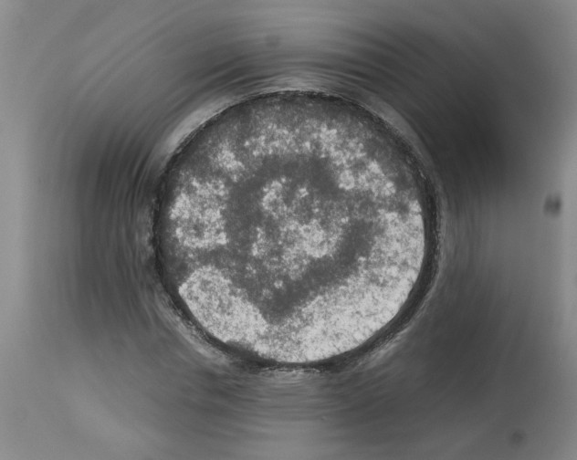 X0000112950826200910051217