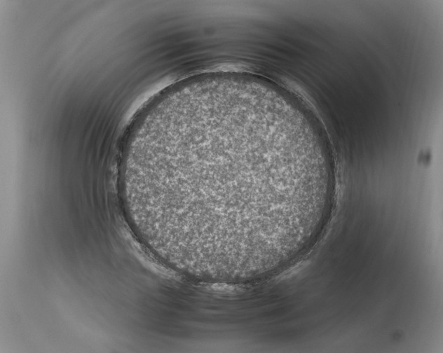 X0000112950827200910051217
