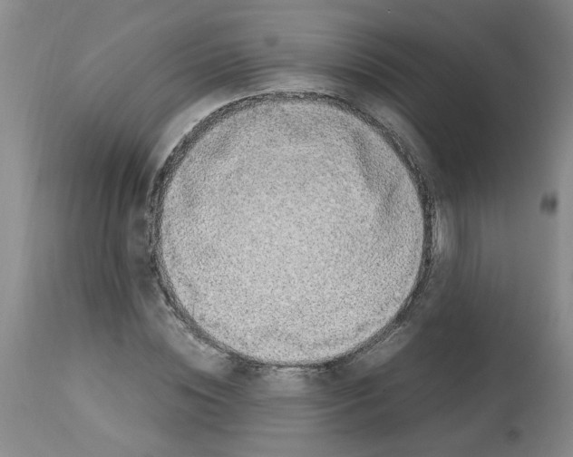 X0000112950828200910051217