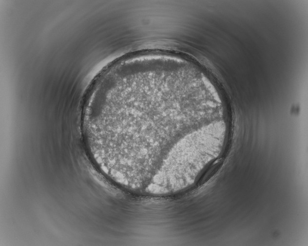 X0000112950830200910051217