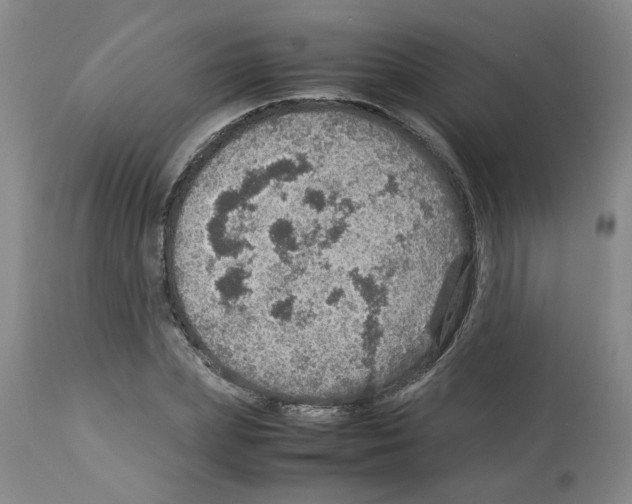 X0000112950831200910051217