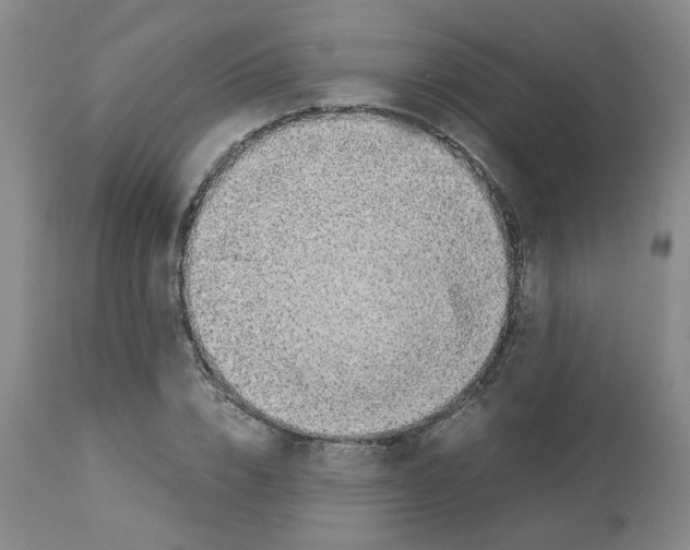X0000112950832200910051217