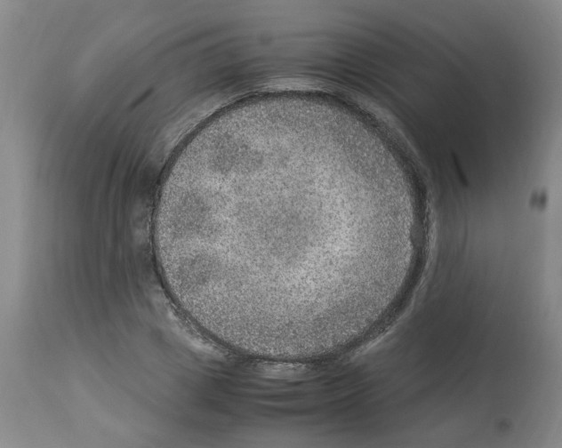 X0000112950833200910051217