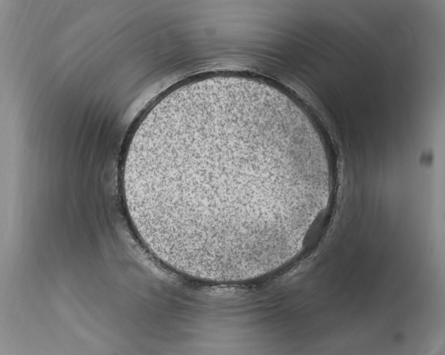 X0000112950834200910051217