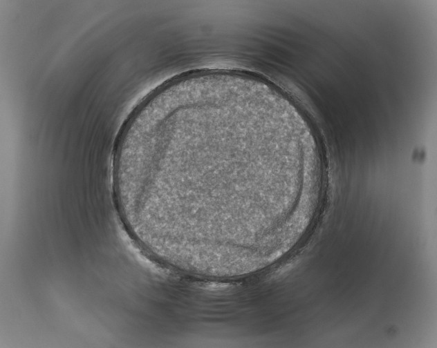 X0000112950839200910051217