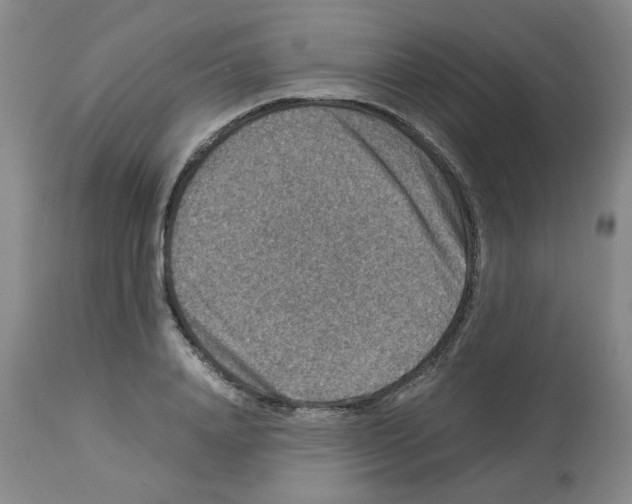 X0000112950840200910051217