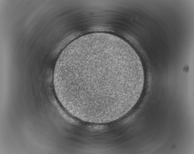 X0000112950841200910051217