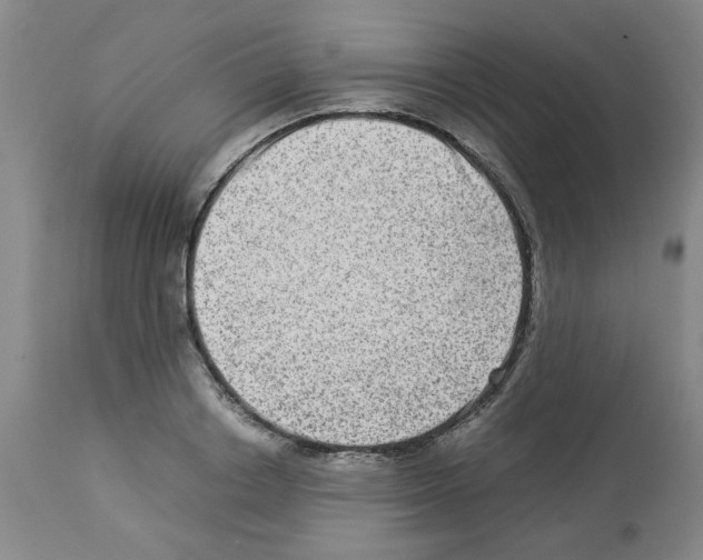 X0000112950842200910051217