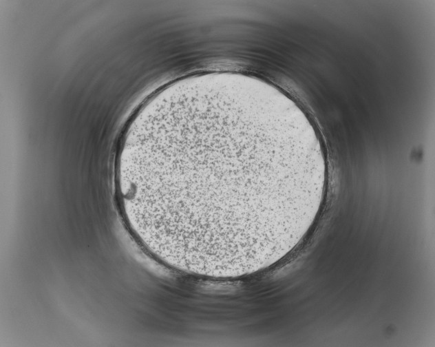 X0000112950843200910051217