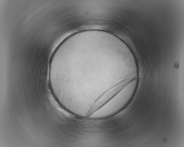 X0000112950844200910051217