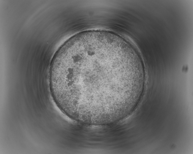 X0000112950847200910051217