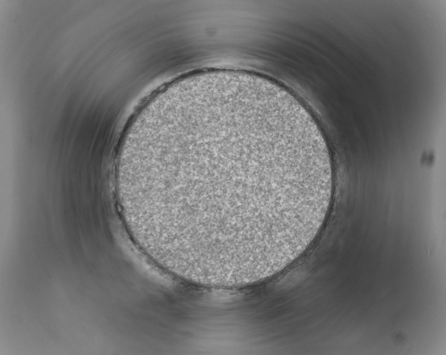 X0000112950848200910051217