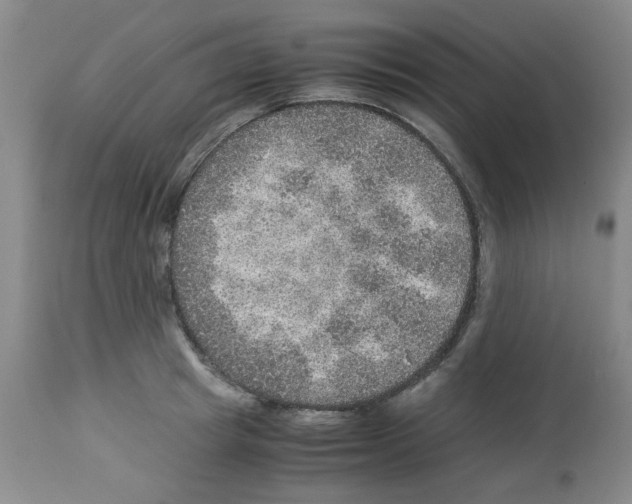 X0000112950849200910051217