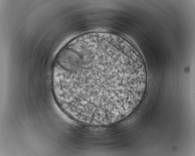 X0000112950851200910051217