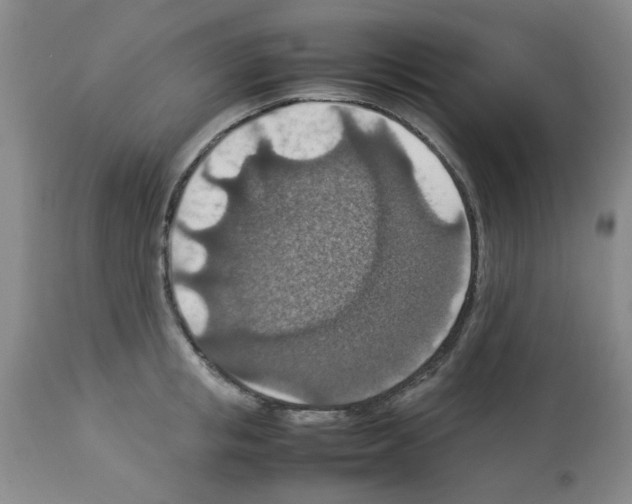 X0000112950853200910051217