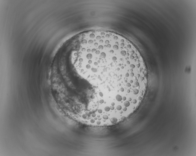 X0000112950856200910051217